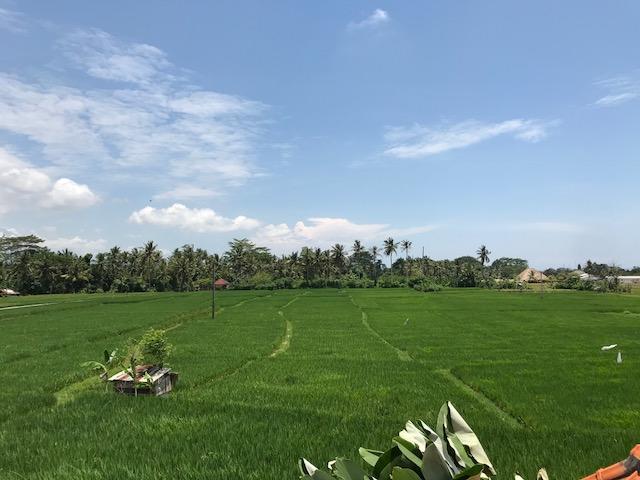 Heavenly View Villa Ubud  Exterior photo