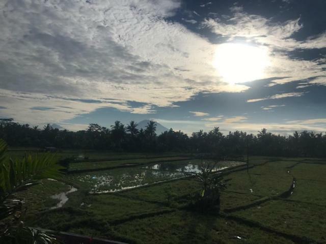 Heavenly View Villa Ubud  Exterior photo